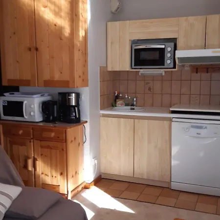 Deux Pieces Calme Proche Centre Chamonix, Garage, Casier A Ski, 4 Pers. - Fr-1-517-61 *